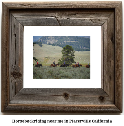 horseback riding near me in Placerville, California